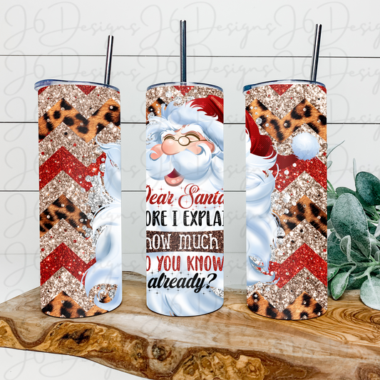 Chevron Santa Tumbler
